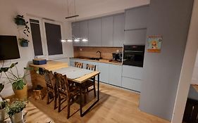 Chihuahua_Apartaments